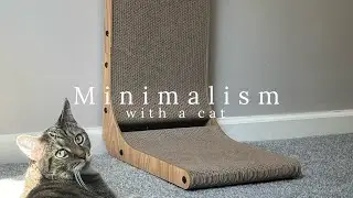 Minimalism With A Cat: Everything He Owns