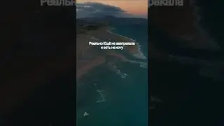 отзыв по результатам разбора