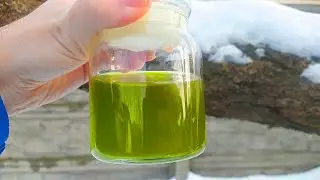 Ароматное Зеленое масло легко приготовить дома