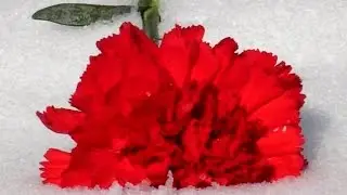Я Ухожу