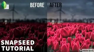 Tutorial Snapseed 2 2020 (How to edit photo Landscape with Snapseed )