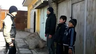 Армия