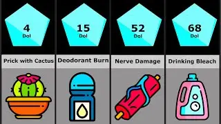 Comparison: Human Pain