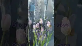 С днём капели! 22 марта