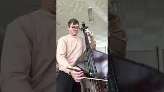 Richard Strauss - Don Juan , double bass excerpt