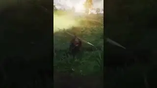 Догонялки