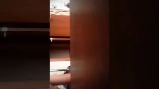 Сходка бпан 2018