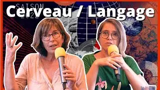 Cerveau et troubles du langage