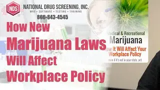 How Medical & Recreational Marijuana Laws Affect Workplace Policy