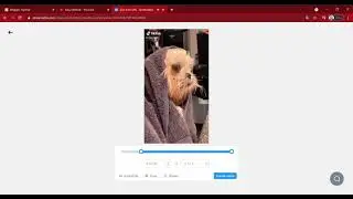 How Can Download Twitter Video