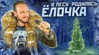 В ЛЕСУ РОДИЛАСЬ ЕЛОЧКА | кавер Романа Боброва