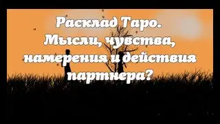 Расклад Таро. Мысли, чувства, намерения и действия партнера?