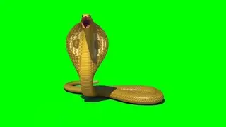 Snake Green Screen Animated Effects ! free download links no copyright green screen animated effect