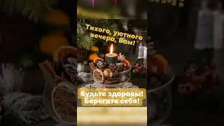 Доброго зимнего вечера!