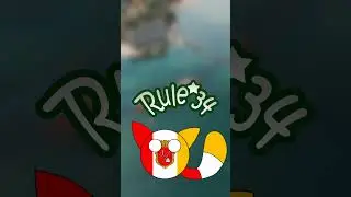 The Truth About Rocky Rakoon 