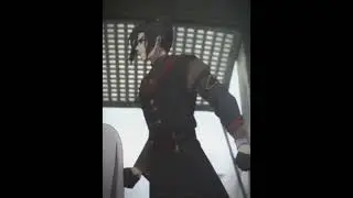Фэнцины | 