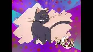 Sailor Says #6  Have More Patience