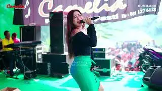 CAMELIA MUSIC - TAK PERNAH - EVIS RENATA - PARTY SEBOLO KALIJENGKING - BANDENGAN JEPARA