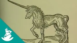 In The Tracks of The Unicorn - Now in High Quality! (Full Documentary)
