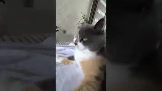 видео с нового телефонаааа #shorts