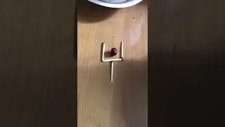 Вишенка в бокале