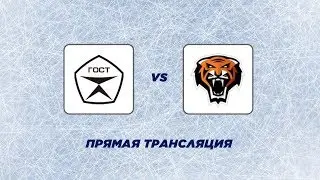 «ГОСТ» - «Тигры». Прямая трансляция