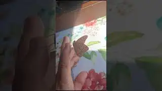 Бабочка (18.07.2024) [12+]
