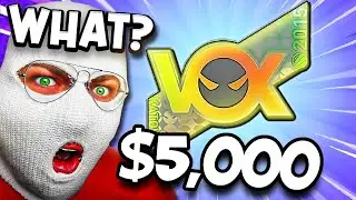 Counter-Strike 2's Overshadowed Investment