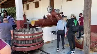 Vinoteca en San Rafael - Mendoza