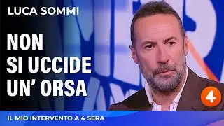 Non si uccide un'orsa.