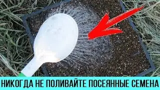 НИКОГДА не поливайте водой СЕМЕНА сразу после посева Вот почему НЕЛЬЗЯ это делать Дачные Секреты