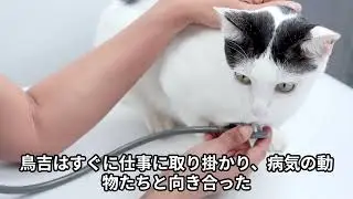 Animals Never Die: Confessions of an Emergency Veterinarian. Dr. Hidenobu Toriyoshi, Ph.D, DVM