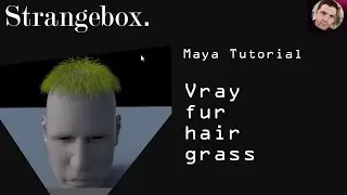 Maya Vray Fur