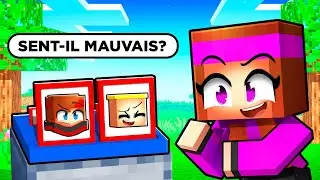 Qui est ce Youtubeur sur Minecraft ?!