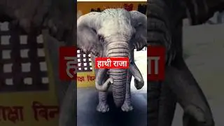 3D ACTIVITY#shorts #shortsfeed #viral #ytshorts #amazing #trending #discovery #wildlife