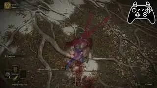 This is why we ban aux, buffs and skills for +0 kills (Malenia in 3 minutes without upgrades)