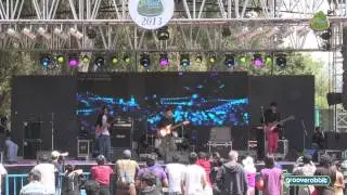 THE SHAKEY RAYS LIVE at the MAD FESTIVAL - Song1