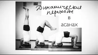 Мастер-класс «Динамические переходы в асанах»