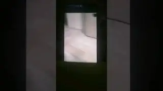 skibidi toilet multiverse 2