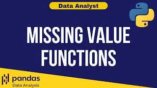 Python Data Analysis Tutorial 11: Functions To Find Missing Values in a DataFrame | Data Analyst
