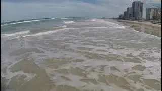 Beach Metal Detecting IDD 367 Low Tide Hunt Daytona Beach