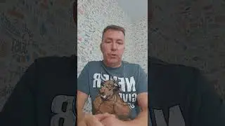 Как быстро избавиться от панических атак.