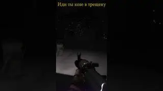 Кустопас и Кустодрот 