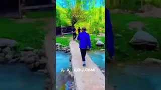1 сентября 2024 г.