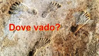 Dove vado?