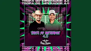Ela da Palinha