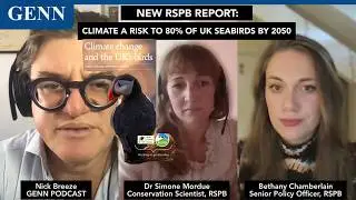 New RSPB Report: Climate Change Could Wipe Out 80% of the UK's Seabirds by 2050 + How We Stop It!