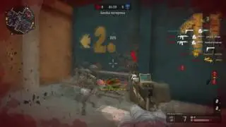 ACE #8