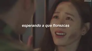 WINTER FLOWER - Younha (feat. RM) [Traducida al español] // Crash landing on you