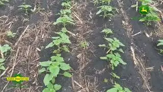 SPM 8 VELES AGRO